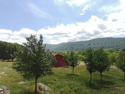 Farma & Apartmani Opg Sasa Delic Korenica Exterior foto