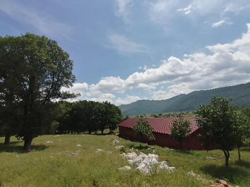Farma & Apartmani Opg Sasa Delic Korenica Exterior foto