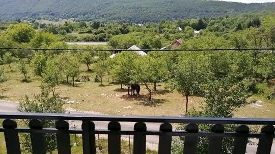 Farma & Apartmani Opg Sasa Delic Korenica Exterior foto