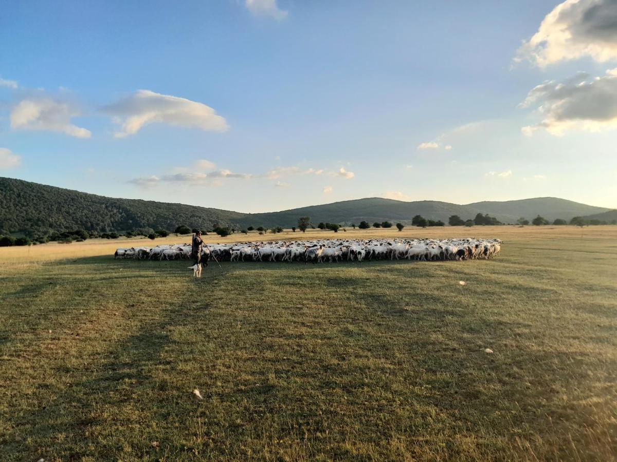 Farma & Apartmani Opg Sasa Delic Korenica Exterior foto